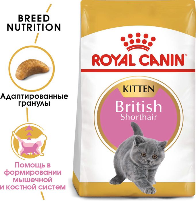 Royal Canin Kitten British Shorthhair сухой корм для британских котят (2 кг)
Royal Canin Kitten British Shorthhair сухой корм для британских котят (2 кг)