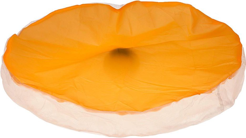 Ferplast Crazy Ball электронный набор игрушек для кошек (58 см), Оранжевый
Ferplast Crazy Ball электронный набор игрушек для кошек (58 см), Оранжевый