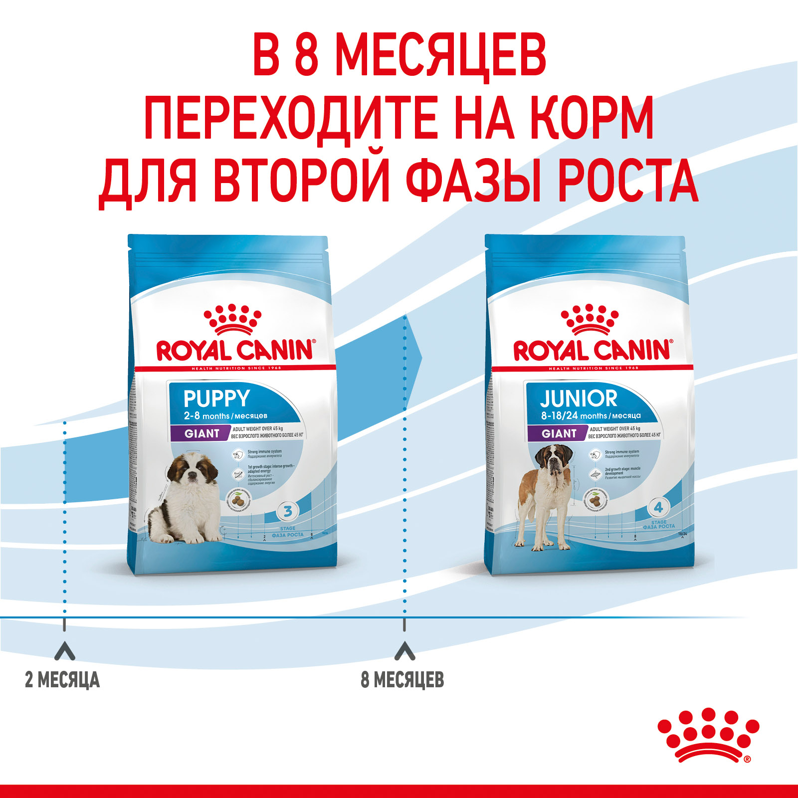 Royal Canin Giant Puppy сухой корм для щенков гигантских пород от 2 до 8 месяцев (3,5 кг)
Royal Canin Giant Puppy сухой корм для щенков гигантских пород от 2 до 8 месяцев (3,5 кг)