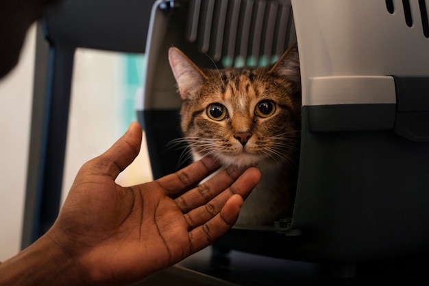 Man with his adorable pet cat