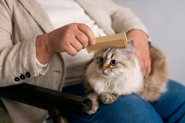 Owner brushing cute cat side view