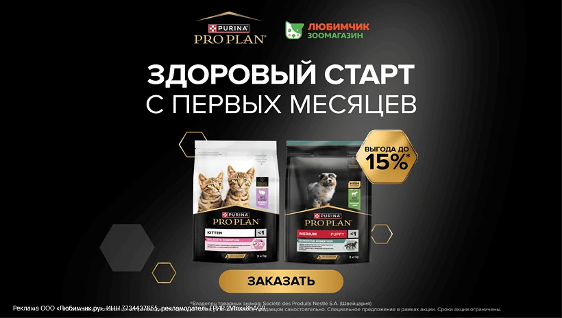 Баннер