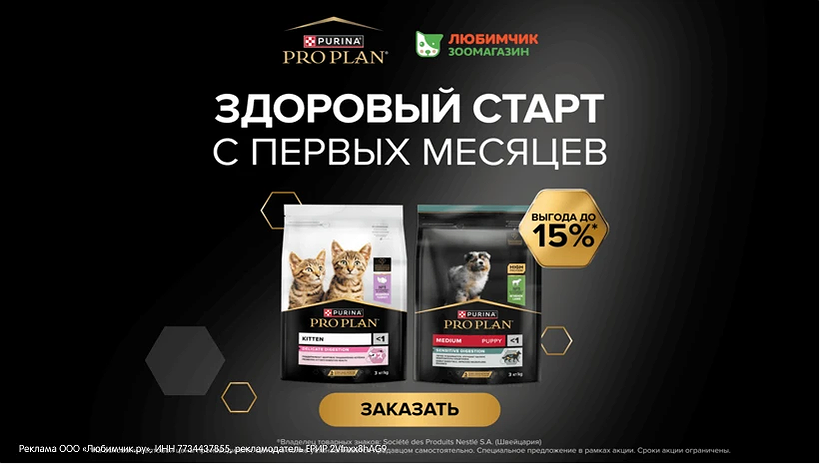Баннер