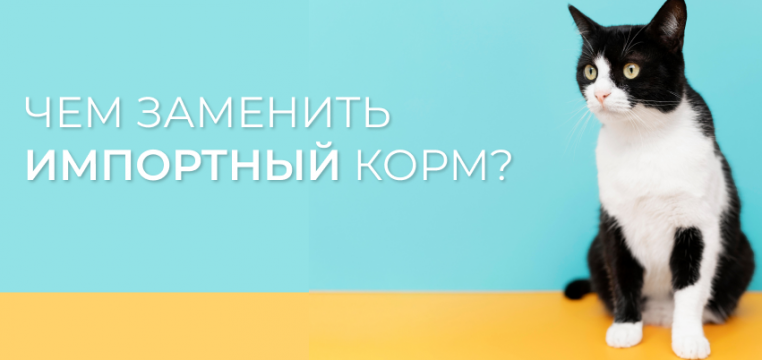 Чем заменить импортный корм для кошек?