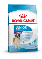 Royal Canin Giant Junior сухой корм для щенков гигантских пород