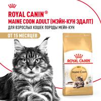 Royal Canin Maine Coon Adult сухой корм для крупных кошек породы мейн-кун