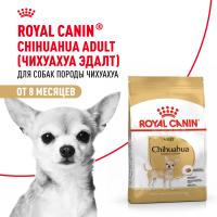 Royal Canin Chihuahua сухой корм для собак породы чихуахуа старше 8 месяцев