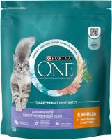 Сухой корм Purina ONE® полнорационный для взрослых кошек для красивой шерсти, здоровой кожи и контроля образования волосяных комков, с высоким содержанием курицы