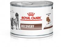 Royal Canin Recovery лечебный корм для собак и кошек в период анорексии, выздоровления