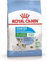 Royal Canin Mini Starter сухой корм для щенков мелких пород с 3 недель до 2 месяцев