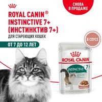 Royal Canin влажный корм для пожилых кошек всех пород, мелкие кусочки в соусе