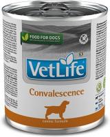 Farmina Vet Life Convalescence, консервы для собак в период восстановления после перенесенных заболеваний