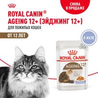 Royal Canin влажный корм для пожилых (12+) кошек, здоровье суставов, почек, мелкие кусочки в желе