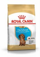 Royal Canin Dachshund Junior сухой корм для щенков породы такса