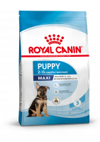Royal Canin Maxi Puppy сухой корм для щенков крупных пород