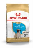 Royal Canin Pug Junior сухой корм для щенков породы мопс до 10 месяцев