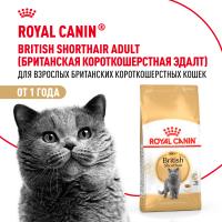 Royal Canin British Shorthair Adult сухой корм для кошек британской короткошерстной породы старше 12 месяцев