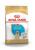 Royal Canin Labrador Retriver Junior сухой корм для щенков породы лабрадор ретривер от 2 до 15 месяцев