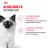 Royal Canin Kitten Instinctive влажный корм для котят от 4 до 12 месяцев в соусе