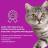 Whiskas влажный корм для кошек, мясная коллекция, говядина в желе