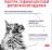 Royal Canin Neutered Maintenance влажный корм для стерилизованных кошек, мелкие кусочки в соусе