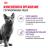 Royal Canin влажный корм для стерилизованных взрослых кошек всех пород, кусочки в желе