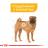 Royal Canin Medium Dermacomfort сухой корм для собак средних пород склонных к раздражениям и зуду