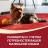 Влажный корм Purina ONE® Мини Активная для взрослых собак мелких пород с активным образом жизни, с уткой, пастой и зеленой фасолью в подливе