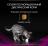 Сухой корм для кошек диетический Pro Plan® Veterinary Diets UR ST/OX Urinary при болезнях нижних отделов мочевыводящих путей, с курицей, Пакет