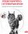 Royal Canin Gastrointestinal Moderate Calorie влажный корм для кошек, склонных к набору веса, при расстройствах пищеварения, мелкие кусочки в соусе