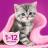 Whiskas влажный корм для котят, рагу с ягненком