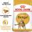Royal Canin Bengal Adult сухой корм для бенгальских кошек