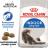 Royal Canin Indoor Long Hair сухой корм для длинношерстных кошек