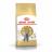 Royal Canin British Shorthair Adult сухой корм для кошек британской короткошерстной породы старше 12 месяцев