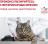 Royal Canin Mobility лечебный корм для кошек при заболеваниях опорно-двигательного аппарата