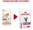 Royal Canin Early Renal влажный корм для кошек соус при хронической почечной недостаточности в ранней стадии