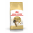Royal Canin Siberian сухой корм для сибирских кошек