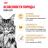 Royal Canin Maine Coon Adult сухой корм для крупных кошек породы мейн-кун