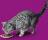 Whiskas влажный корм для кошек старше 7 лет рагу с курицей
