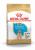Royal Canin сухой корм для щенков породы Лабрадор
