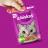 Whiskas влажный корм для взрослых кошек, желе с телятиной