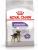 Royal Canin сухой корм для взрослых стерилизованных собак малых пород