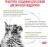 Royal Canin Urinary S/O влажный корм для кошек, при мочекаменной болезни, мелкие кусочки в соусе