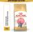 Royal Canin корм для котят породы Британская короткошёрстная