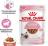 Royal Canin влажный корм для котят всех пород, в соусе