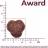 Award Indoor Big Cats корм для взрослых домашних кошек крупных пород, с говядиной и курицей, с добавлением брокколи и юкки Шидигера