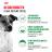 Royal Canin Mini Adult сухой корм для собак мелких пород