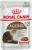 Royal Canin Ageing+12 влажный корм для кошек старше 12 лет в соусе