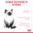 Royal Canin корм для котят всех пород
