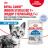 Royal Canin Indoor влажный корм для стерилизованных пожилых кошек, кусочки в желе